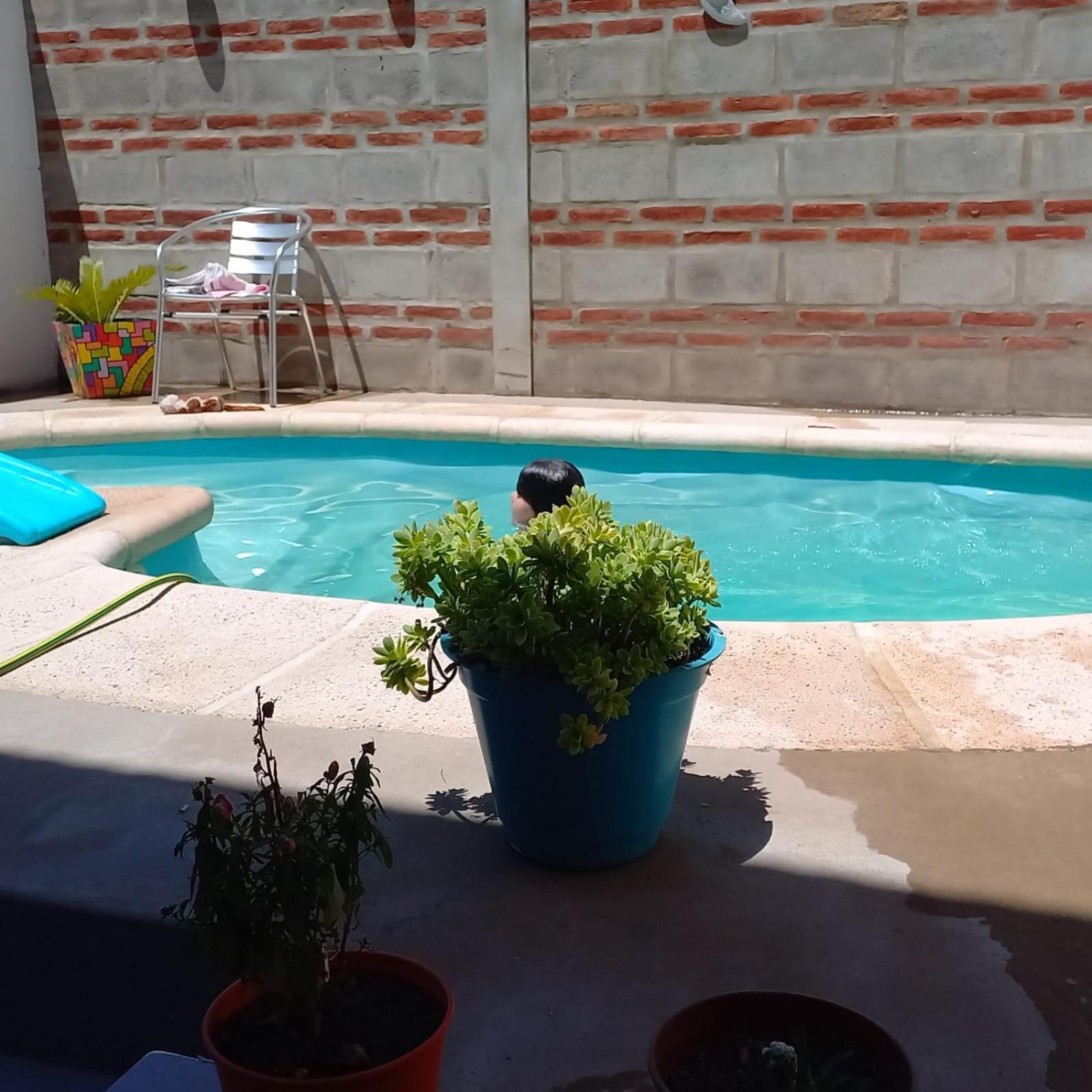 Nenas La Falda